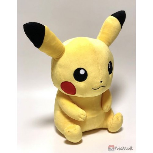 pokemon fit pikachu