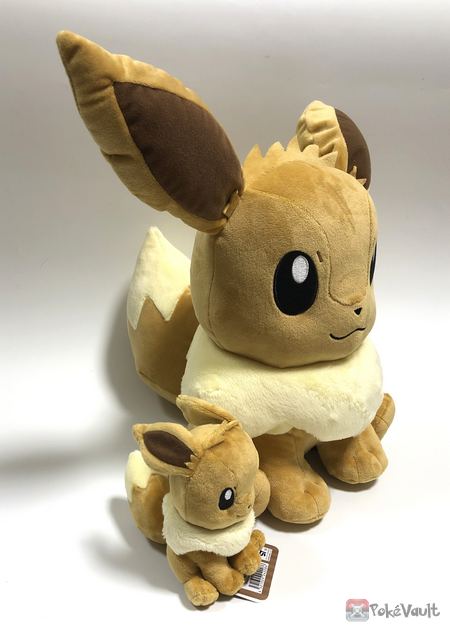 pokemon fit eevee