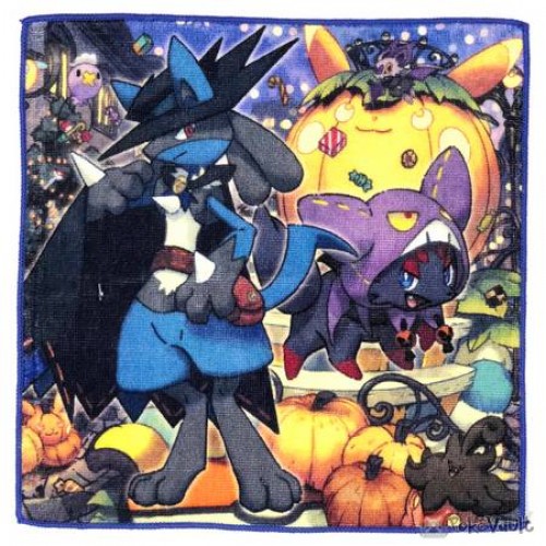 pokemon center lucario