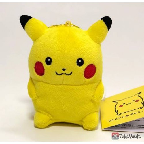 24 pokemon plush