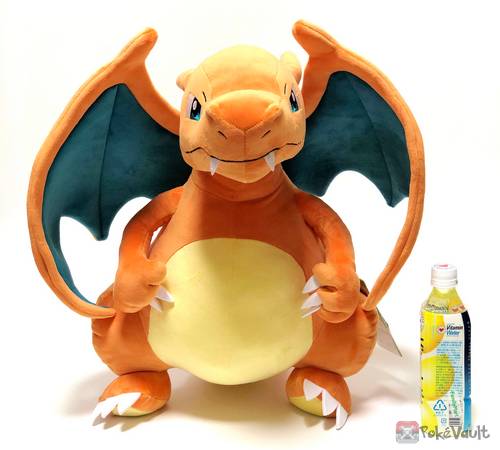 big charizard teddy