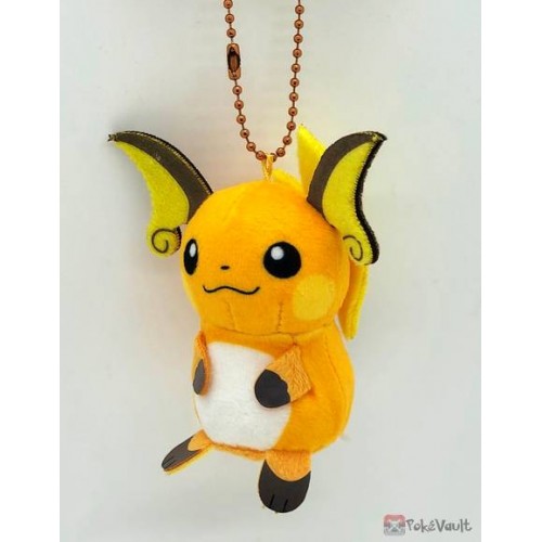 pokemon center raichu