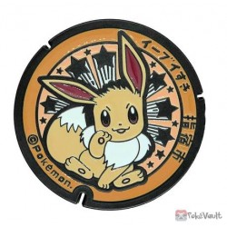 Pokemon 2020 Kagoshima Eevee Manhole Series Metal Replica