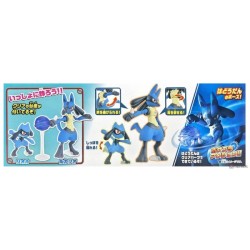 lucario and riolu model kit