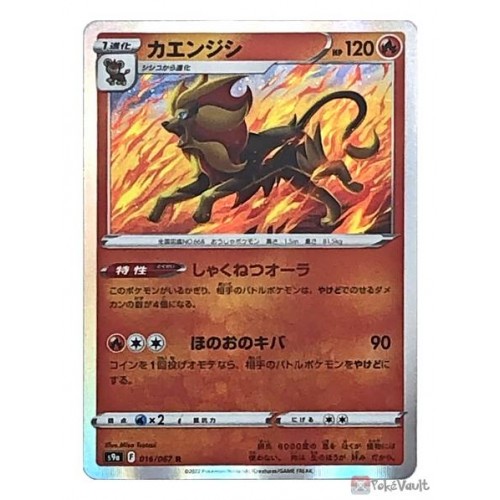 Pokemon 2022 S9a Battle Region Pyroar Holo Card #016/067