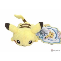 Pokemon 2022 Pikachu Takara Tomy Washable Small Plush Toy