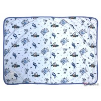 Pokemon Center 2025 Alolan Vulpix Ninetales OTENKI TEAM Cooling Blanket