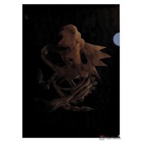 Pokemon 2021 Tyrantrum Imaginary Skeleton Model Pokemon Fossil Museum File Folder