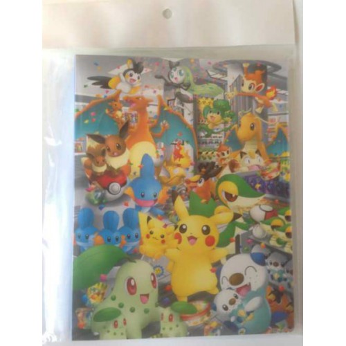 Pokemon Center Nagoya 13 Renewal Shiny Magikarp Charizard Dragonite Eevee Friends Medium Size Card Binder