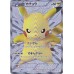 5th anniversary pikachu