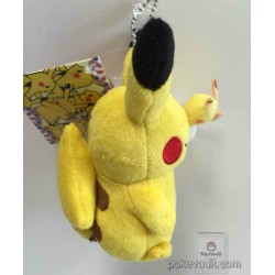 pokemon carnival plush