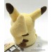 pikachu graffiti plush