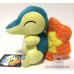 pokemon center cyndaquil