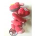 shiny genesect plush