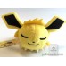 jolteon sleeping