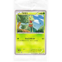Pokemon 2015 Convenience Store Treecko Promo Card #107/XY-P