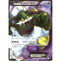 Raikou EX Dark Rush, Pokémon