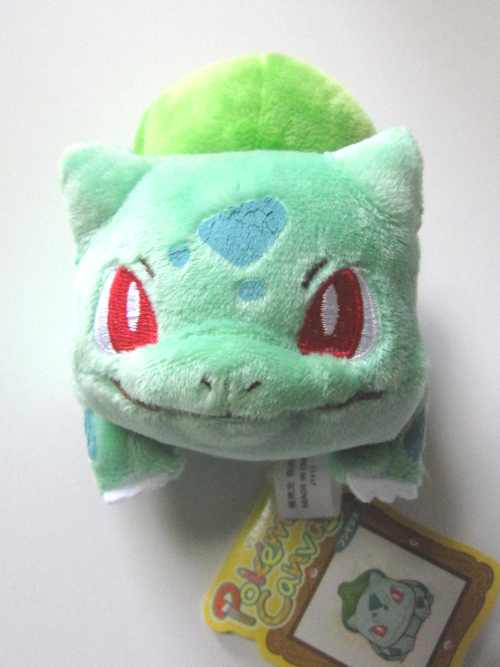 pokemon canvas plush