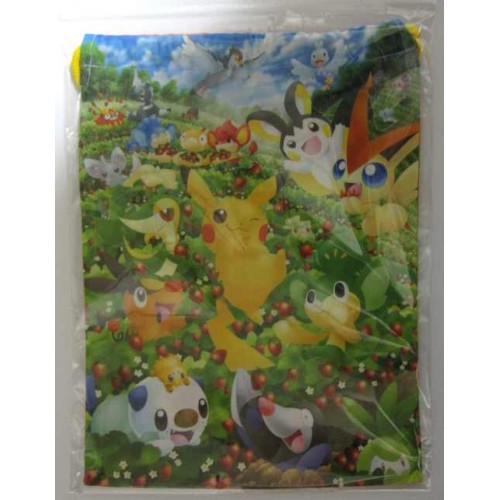 Pokemon Center Fukuoka 12 Renewal 1st Anniversary Pikachu Joltik Whimsicott Snivy Drilbur Friends Large Size Drawstring Dice Bag