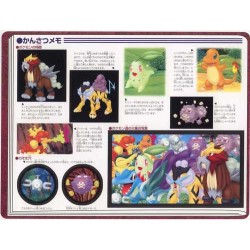 Pokemon 2000 Jumbo Sealdass #9 Enju City Entei Suicune Raikou Charmander Totodile & Friends Large 2 Sticker Sheet Book