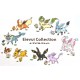 Eevee Collection Campaign
